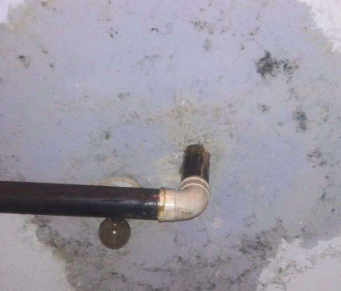 莘县卫生间防水哪家好