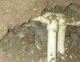 莘县卫生间测漏